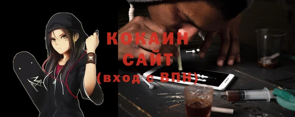 mdma Заводоуковск