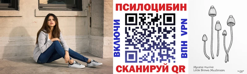 Галлюциногенные грибы MAGIC MUSHROOMS  Купить закладки  Инсар 